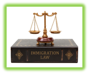 Egyptian nonprofit Immigration Lawl